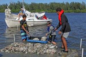 Kids building the reef