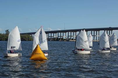 Opti mark