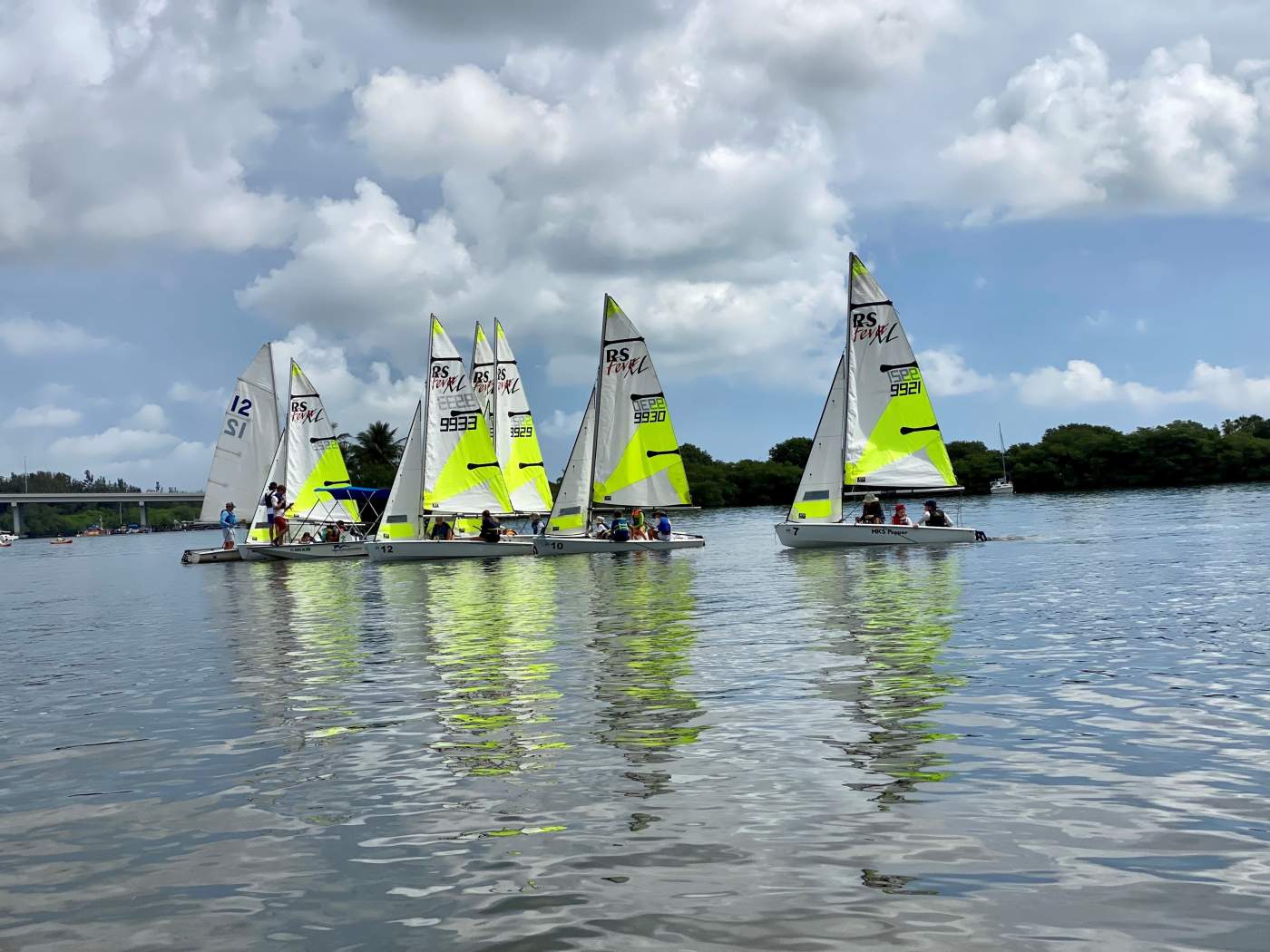 A group of sailboats sailing in the lagoon with a bridge in the background