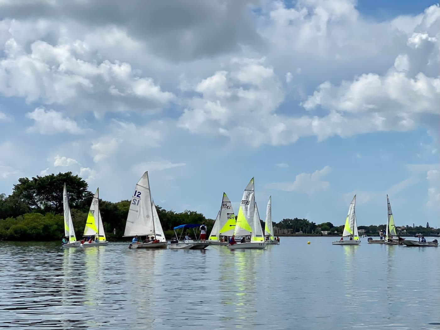 A group of sailboats sailing in the lagoon