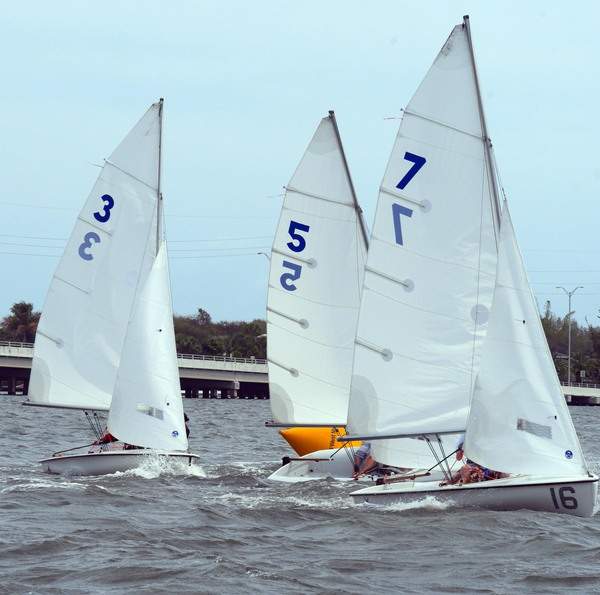 Three sailboats on the water